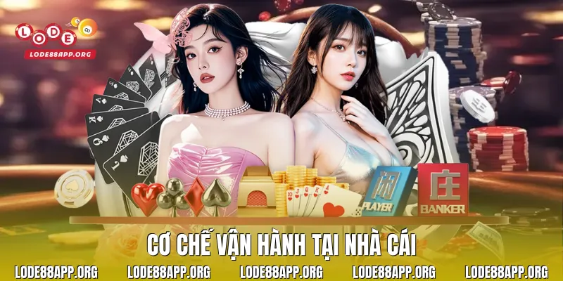 Cơ chế vận hành tại nhà cái
