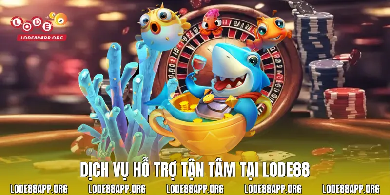 Dịch vụ hỗ trợ tận tâm tại Lode88