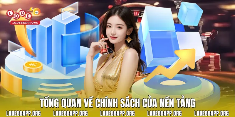 Tổng quan về chính sách của nền tảng